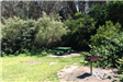 Picnic Table 2 Lindley Meadow and Grill