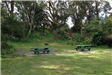 Picnic Table 12 and 13 Lindley Meadow