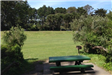 Picnic Table 15 Lindley Meadow