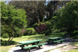 Picnic Tables 3 and 4 Lindley Meadow