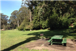 Picnic Table 5 Marx Meadow