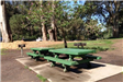 Picnic Tables 1 and 2 Marx Meadow
