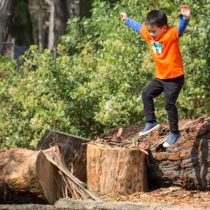 Rolph Nicol Playground 2
