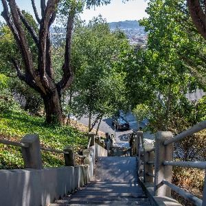 Roosevelt Henry Stairs 5