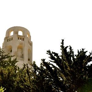 Telegraph Hill - Pioneer Park 2