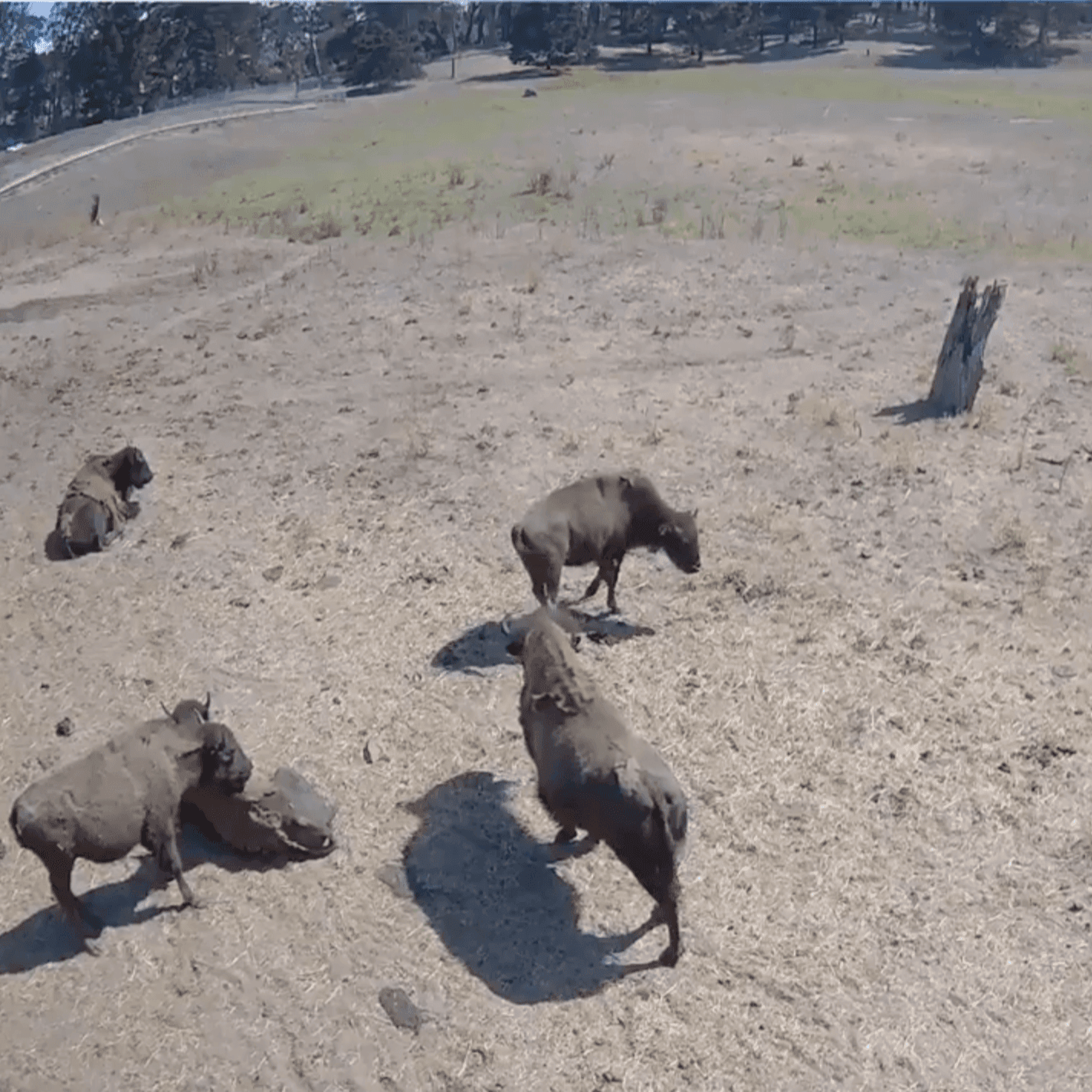 Screen Shot 2020-07-14-1