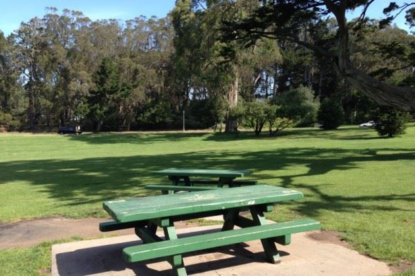 Picnic Tables 1 and 2 at Hellman Hollow
