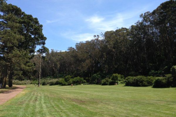 Lindley Meadow Field