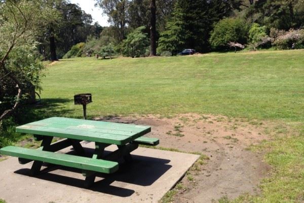 Picnic Table 1 Lindley Meadow