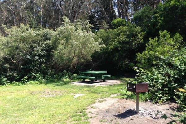 Picnic Table 2 Lindley Meadow and Grill