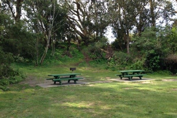 Picnic Table 12 and 13 Lindley Meadow