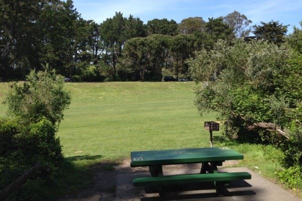 Picnic Table 15 Lindley Meadow