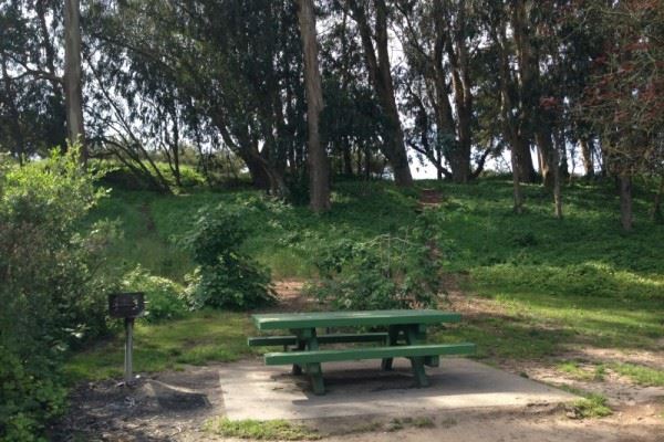 Picnic Table 16 Lindley Meadow