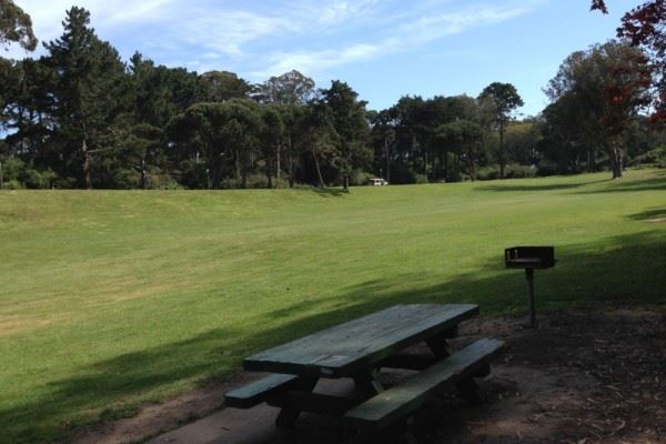 Picnic Table 17 Lindley Meadow