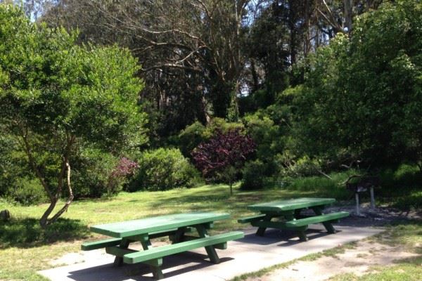 Picnic Tables 3 and 4 Lindley Meadow