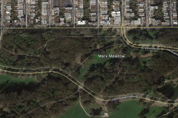 Aerial Map of Marx Meadow