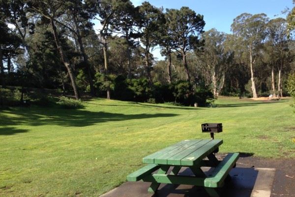 Picnic Table 4 Marx Meadow