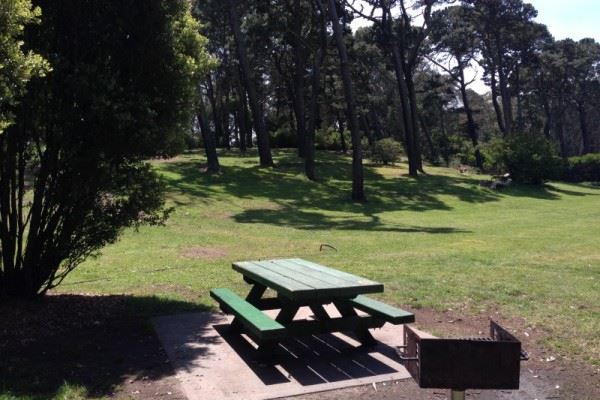Picnic Table 6 Marx Meadow
