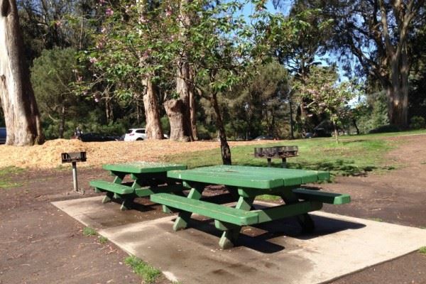 Picnic Tables 1 and 2 Marx Meadow