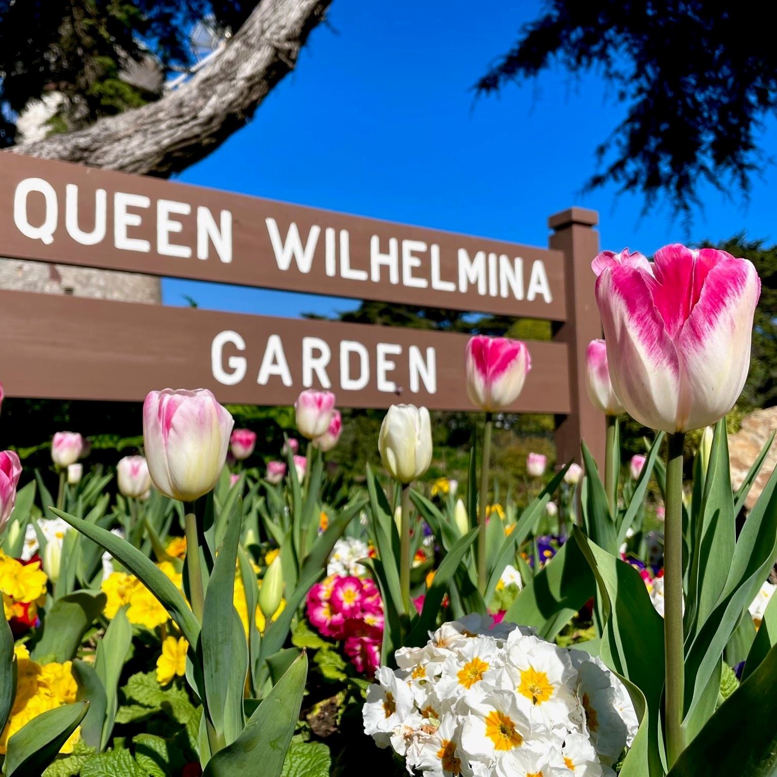 queenwilhelmenagarden