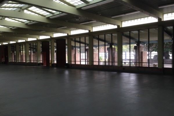 Gallery Windows along wall