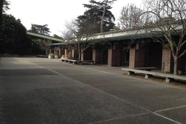 Gallery Courtyard trees