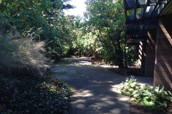 Gallery Courtyard Greenery
