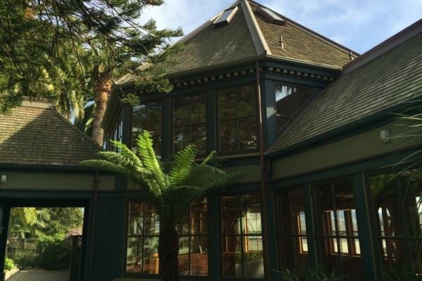 Sunnyside Conservatory Surrounded by Palm Trees