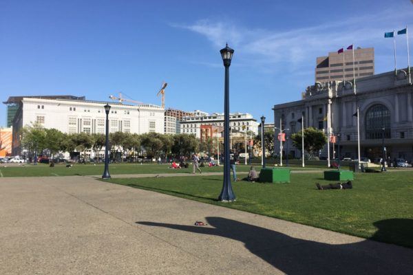 South side grass area facing Grove Street