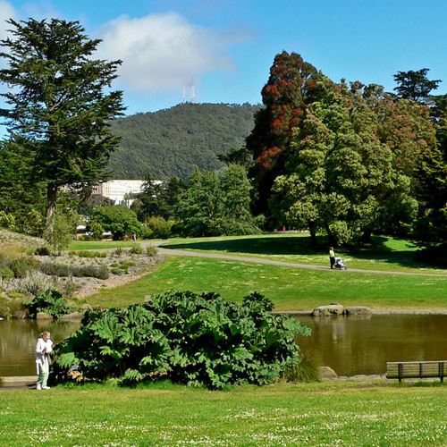 People enjoying San Francisco Botanical Garden