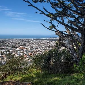 Golden Gate Heights Park 2