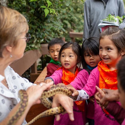 Woman holding a snake for kids to interact with