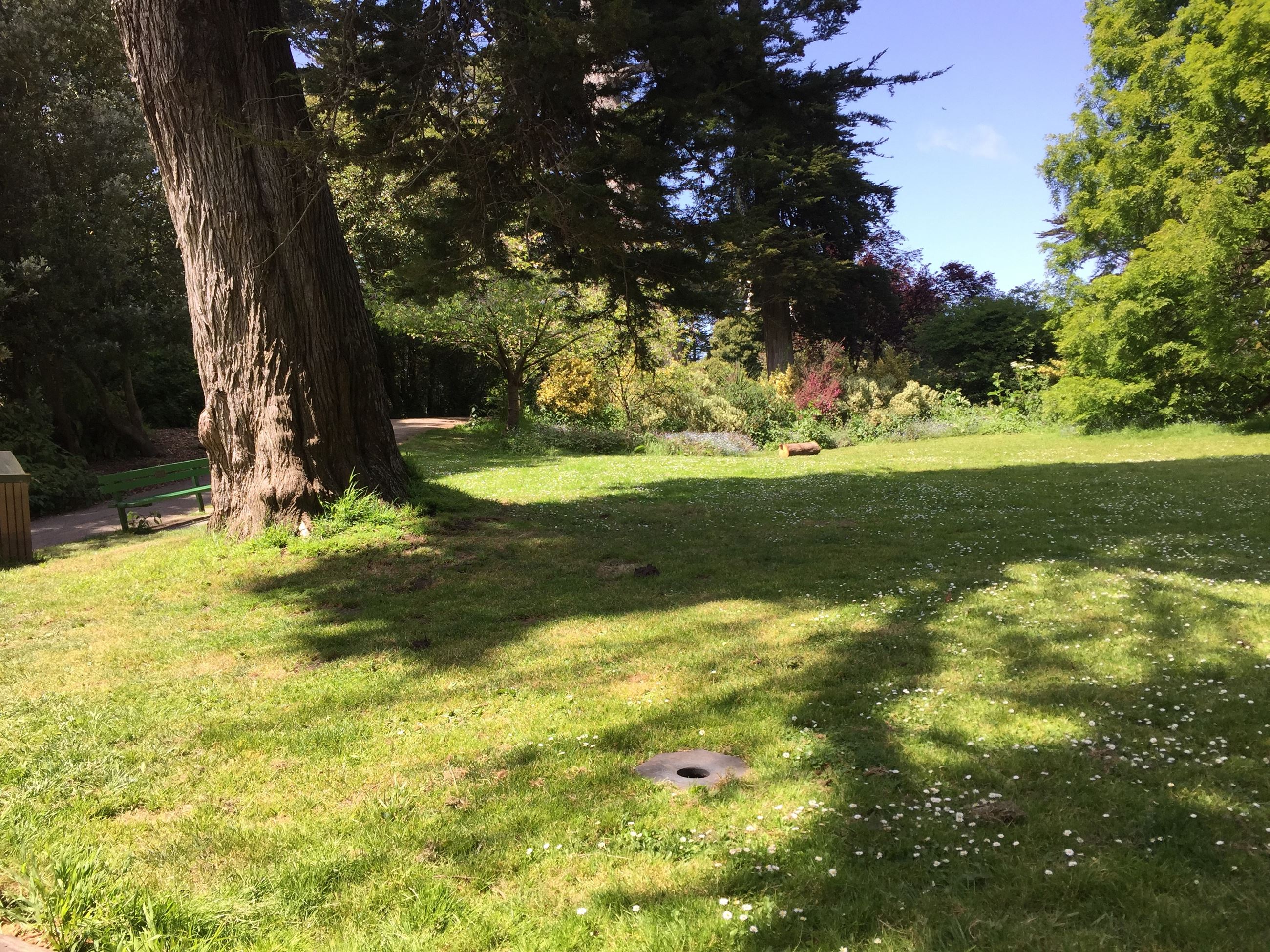 Stow Lake grass area