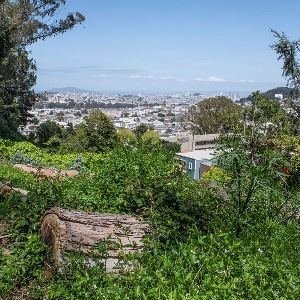 Interior Greenbelt 2