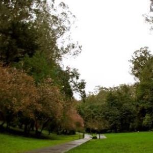 Stern Groove Wedding 