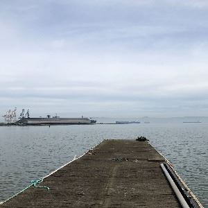 Looking down a dock out at the water