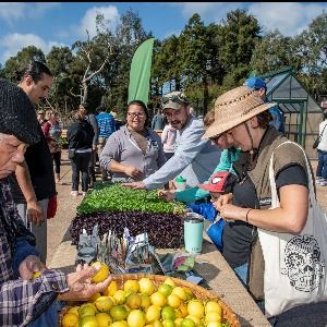 People gathered around a table looking at produce