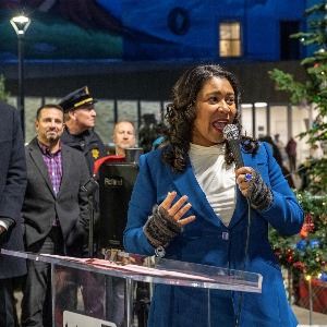 Boedekker Tree Lighting 