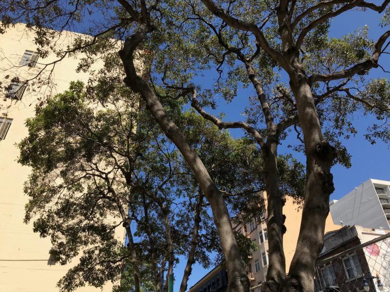 Turk Hyde construction photo 10 2019 555