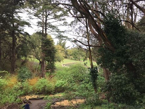 A photo of the  proposed overlook south of Grey Fox Creek