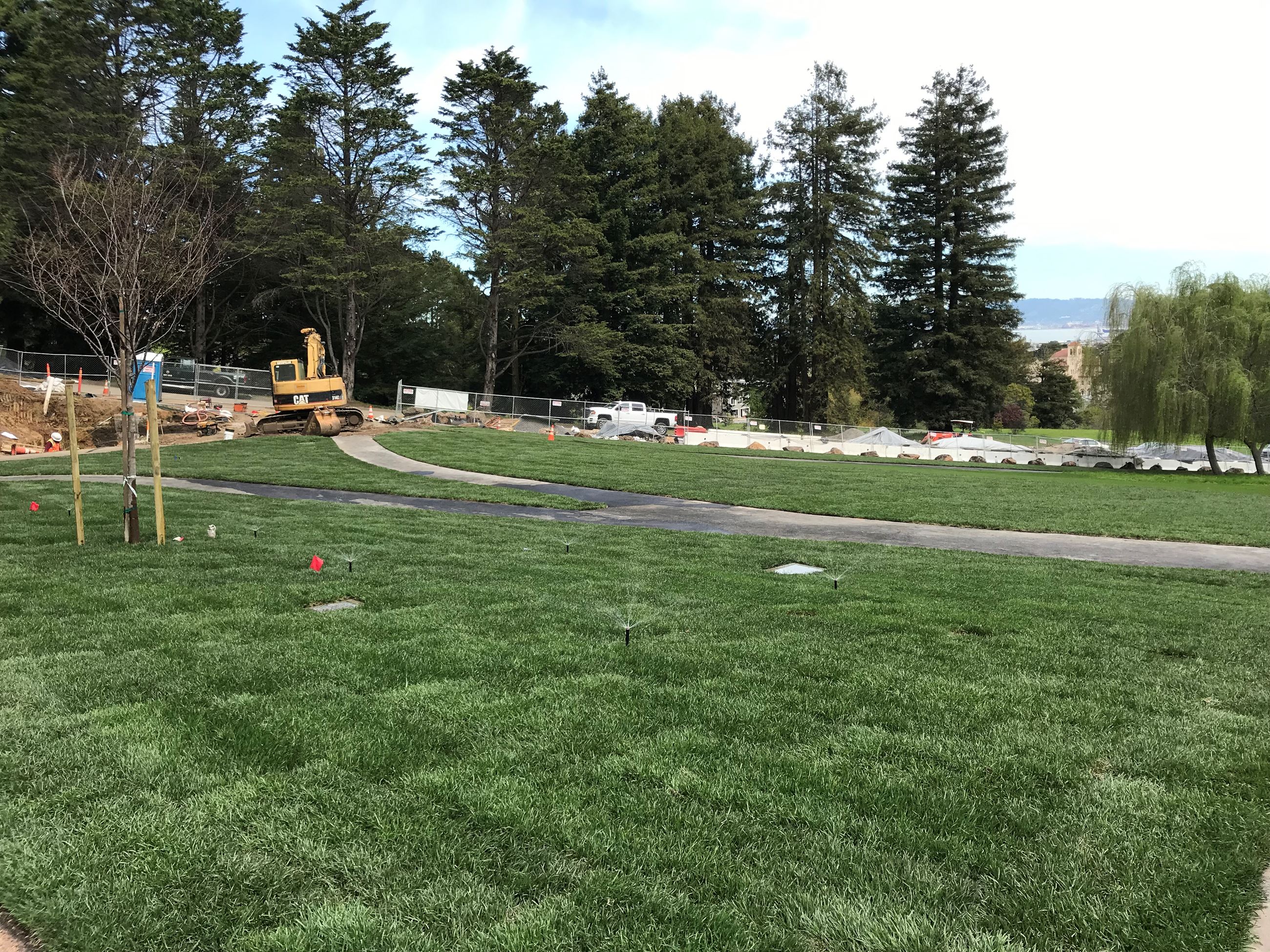 In the foreground is the newly installed lawn area. In the background is the picnic area showing a p