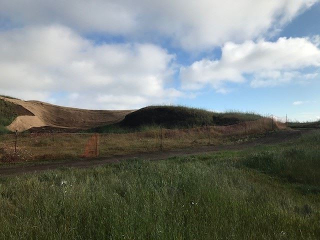 Trails and regraded area in background, foreground is of tall grass growing.