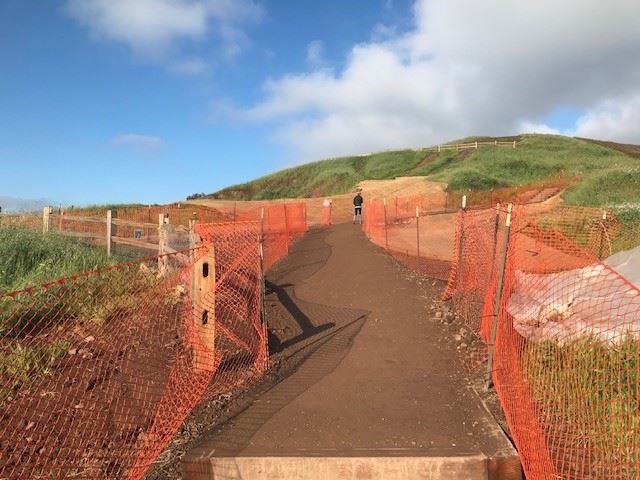 Bernal Heights View from new trail looking West. Tall grass hills in the background with a figure of