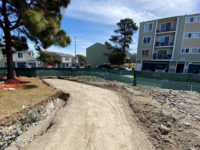 Shoreview Park future east entrance pathway shown here with dirt substrate, a mature tree on the lef