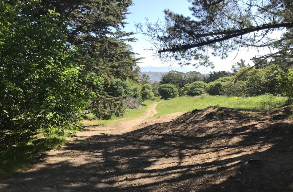 mclaren park trails project 62020