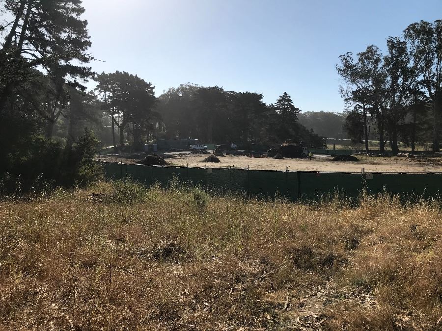 IMG_1009_siteViewFromNorthHill