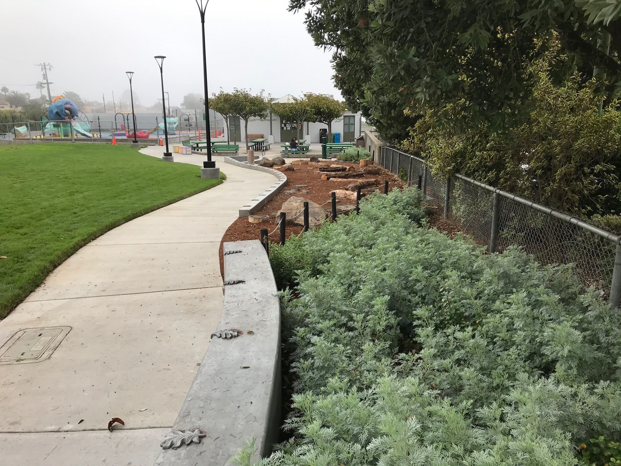 Nature exploration area with cut logs and boulders. Green bushes, black pole lighting, sidewalk 