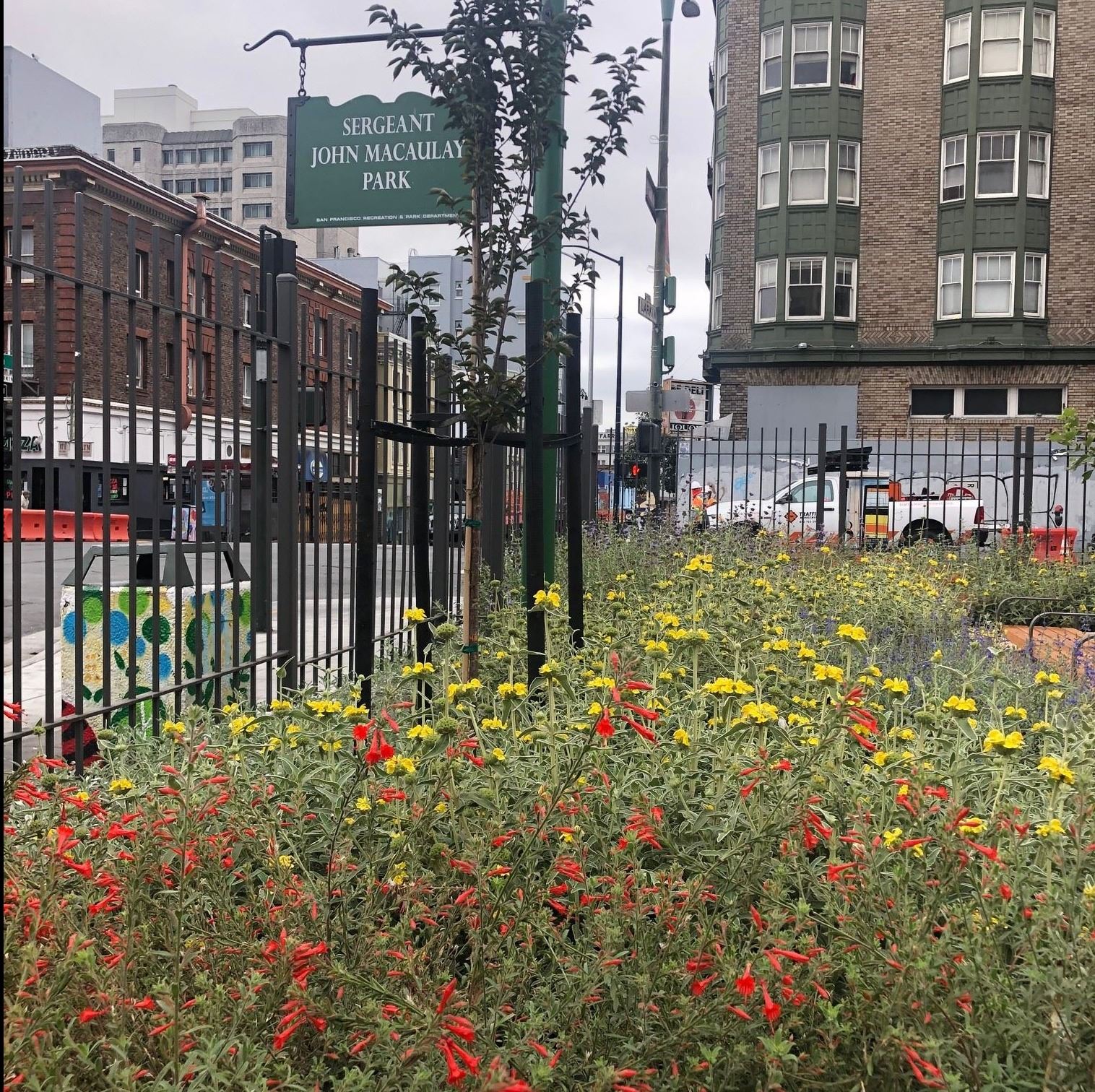 Sergeant Macaulay Park Sign, yellow and red flowers in planter surrounded by black fence.