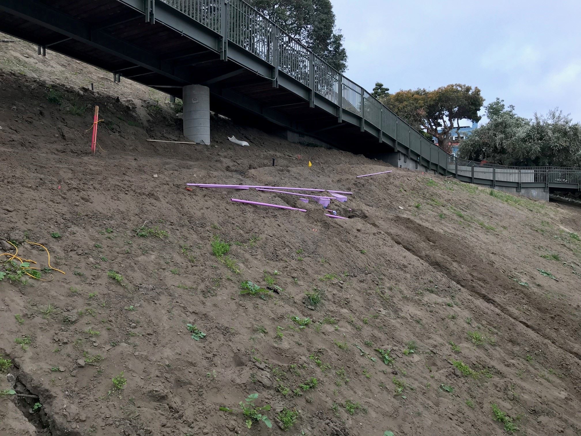 View from below metal boardwalk structure. Soil with purple pipes exposed below.