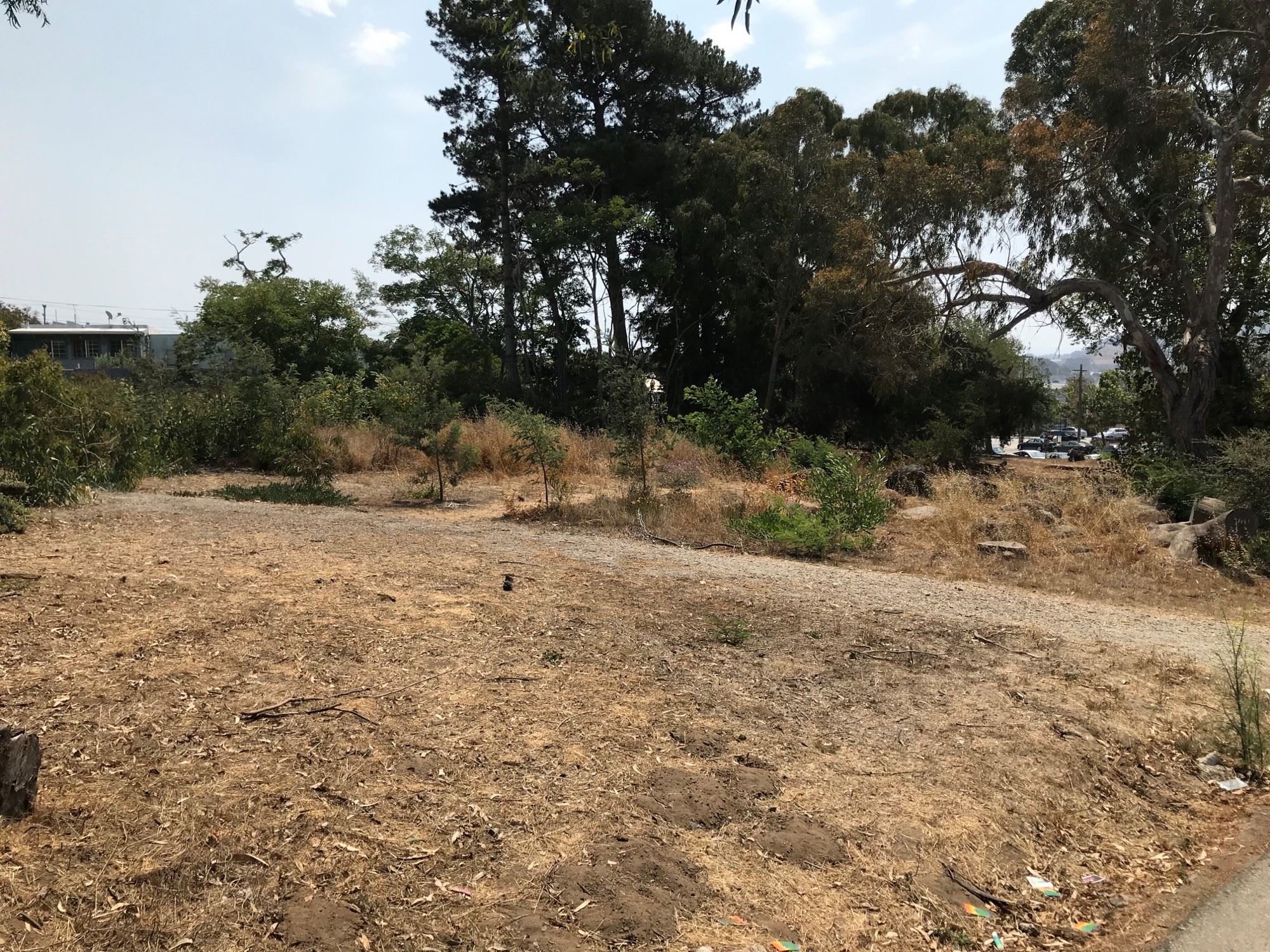 Are shown with trees and trail.